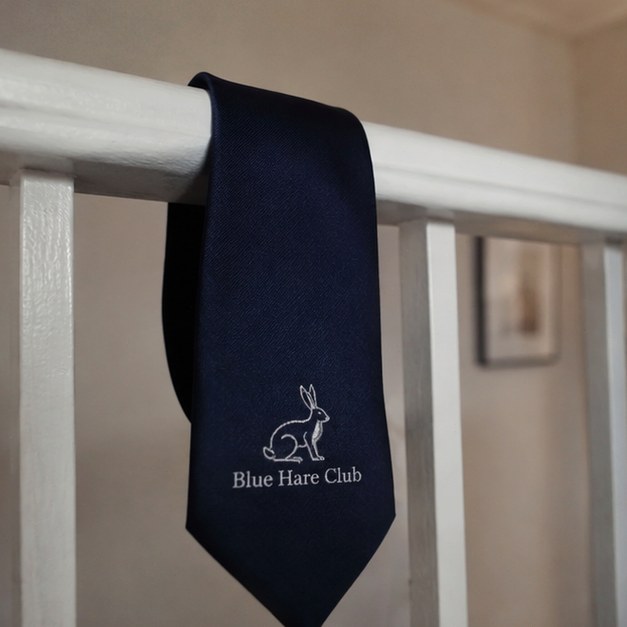 Ties with logo — customer photo